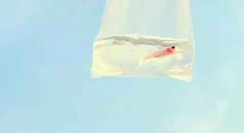 晚安文字170727：良心是一个人的做人底线