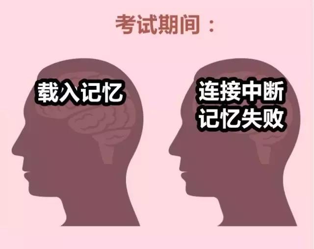 玩游戏会让人变傻，关于大脑的九件事