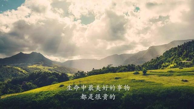 21句毒鸡汤,比心灵鸡汤有价值多了