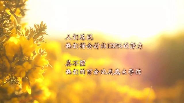 21句毒鸡汤,比心灵鸡汤有价值多了