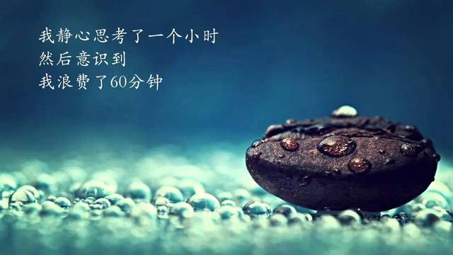 21句毒鸡汤,比心灵鸡汤有价值多了