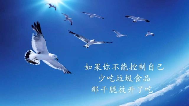 21句毒鸡汤,比心灵鸡汤有价值多了