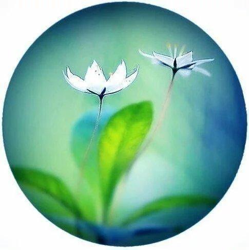 晚安感悟170918：逢人且说三分话，不可全抛一片心