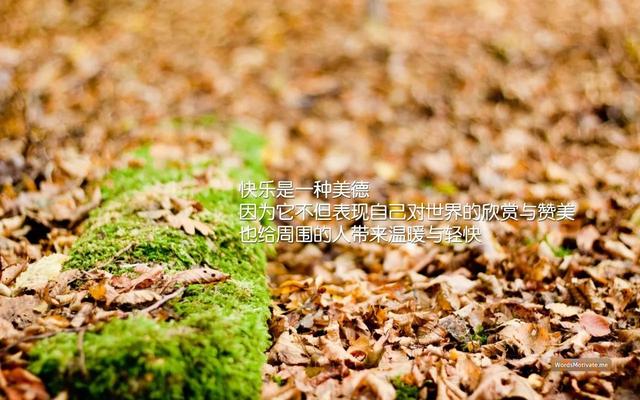 早安心语正能量170924：最好的保鲜就是不断进步
