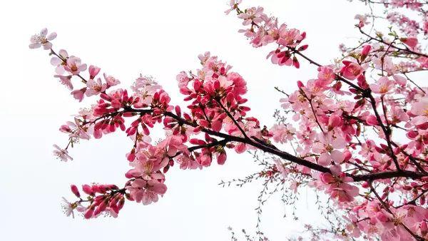 晚安美图170926：朋友，有你真好