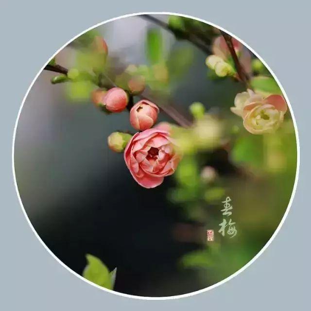 午安心语170926：遇事想不开的时候看看