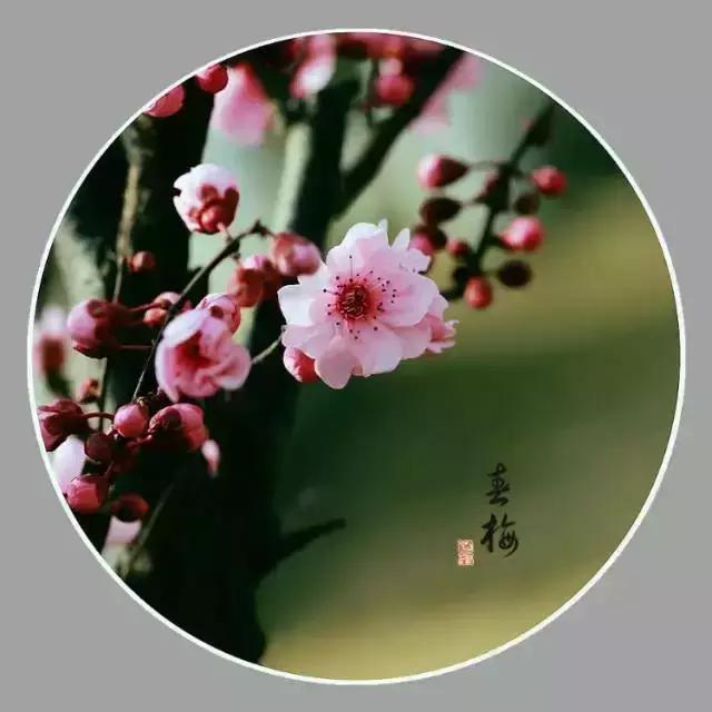 午安心语170926：遇事想不开的时候看看