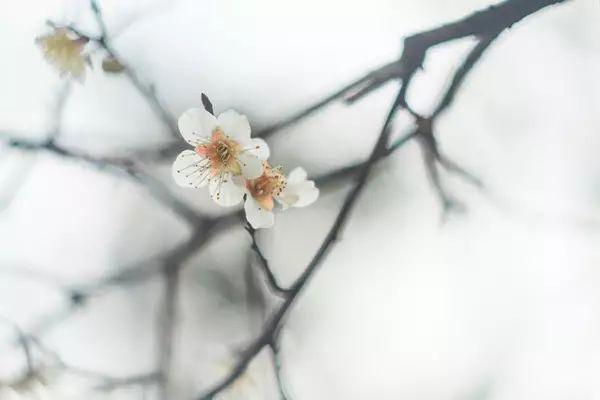 晚安美图170926：朋友，有你真好