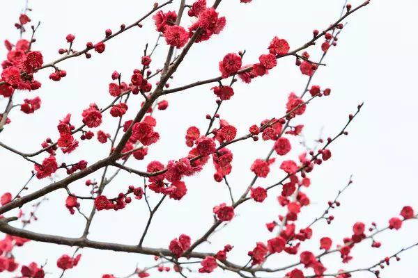 晚安美图170926：朋友，有你真好