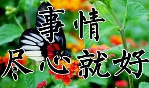 9月26日送你26张图26句话，太美