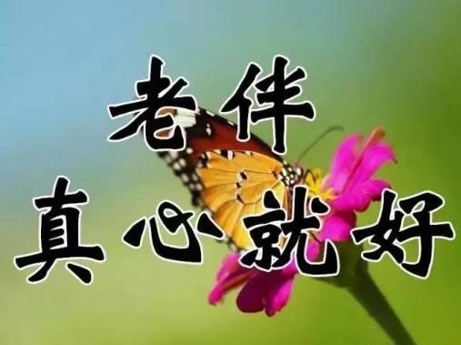 9月26日送你26张图26句话，太美