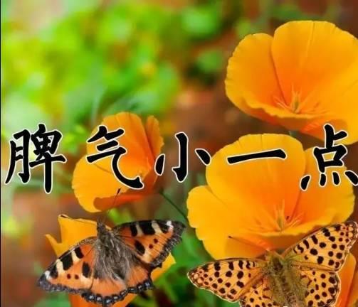 9月26日送你26张图26句话，太美