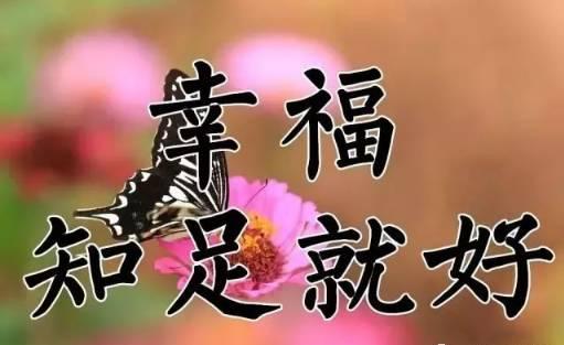 9月26日送你26张图26句话，太美