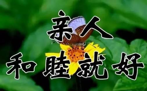 9月26日送你26张图26句话，太美