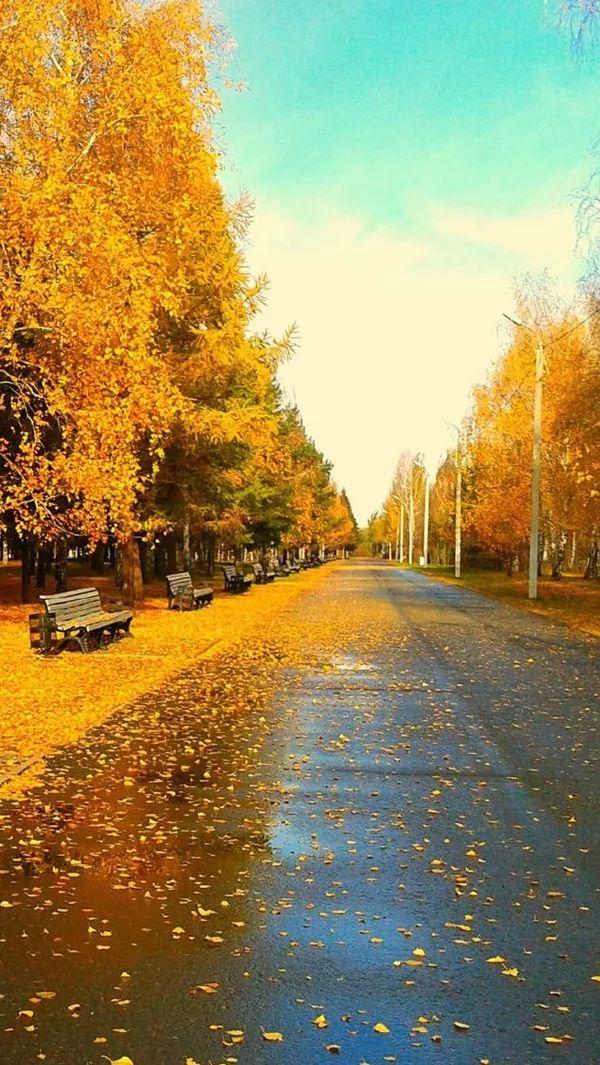 早安爱情170927：这个季节，最适合想你