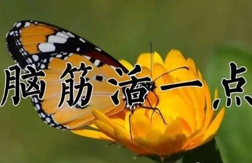 9月26日送你26张图26句话，太美