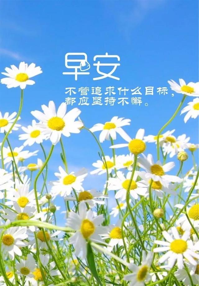 早安励志图片语录170928：不怕万人阻挡，只怕自己投降