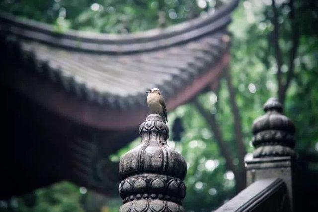 晚安文字170928：人生得失总归零