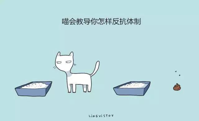 养猫竟然有如此的好处