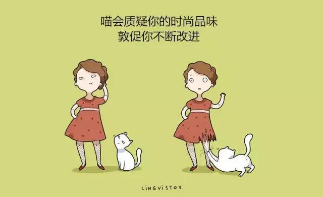 养猫竟然有如此的好处