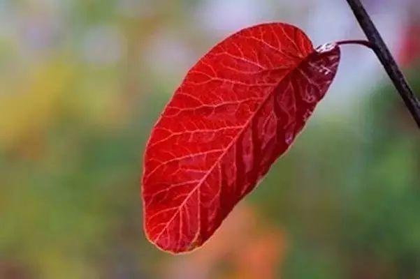 晚安文字171004：有深度才有保留，有珍惜才有拥有