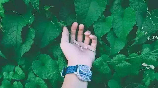 早晚安文字171006：对你好的人，一个都不要丢