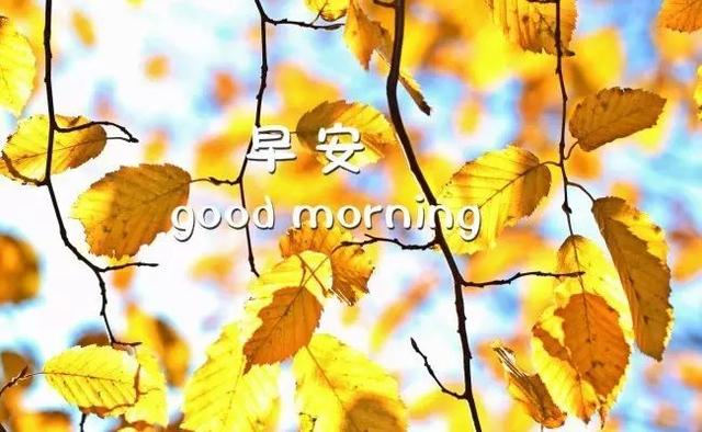 早安图片大全171010：可以孤单，但不许孤独