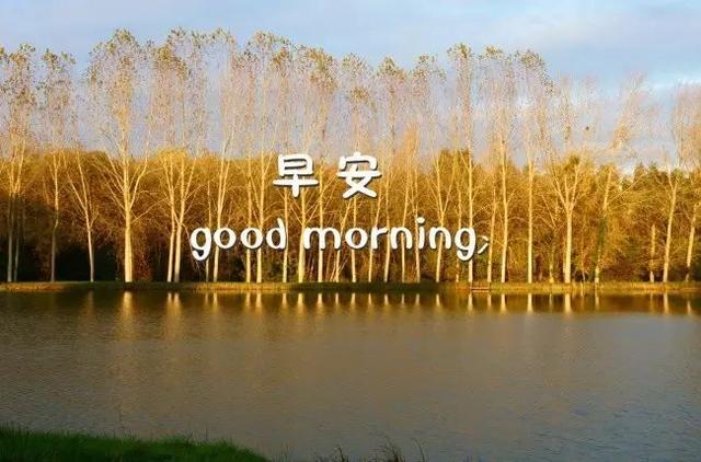 早安图片大全171010：可以孤单，但不许孤独