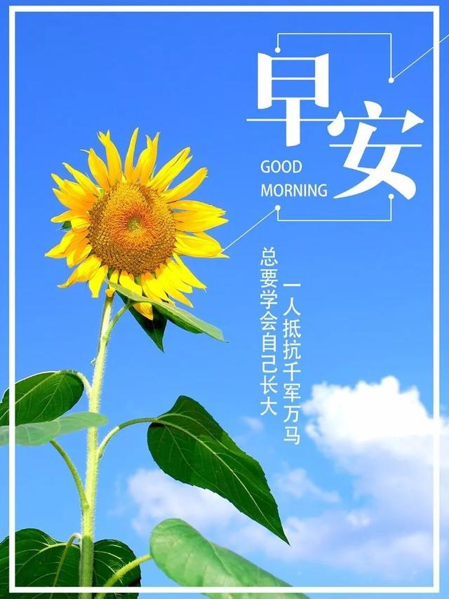早安心语正能量171015：用执着守候成功，用努力打造精彩
