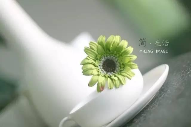早安句子171015：岁月告诉我的那些话