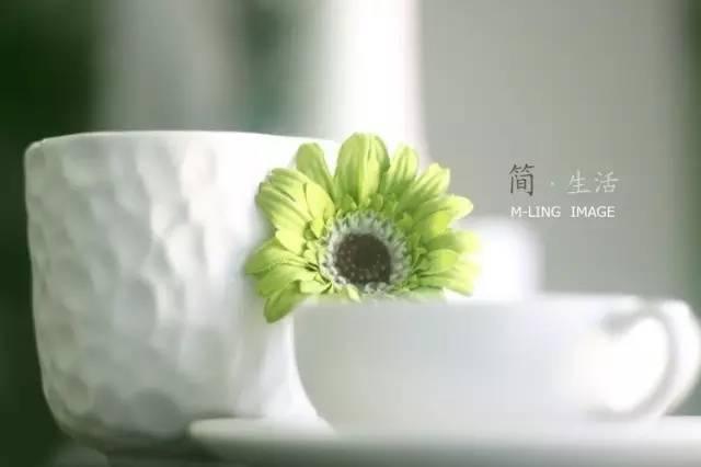 早安句子171015：岁月告诉我的那些话