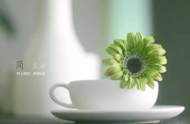 早安句子171015：岁月告诉我的那些话