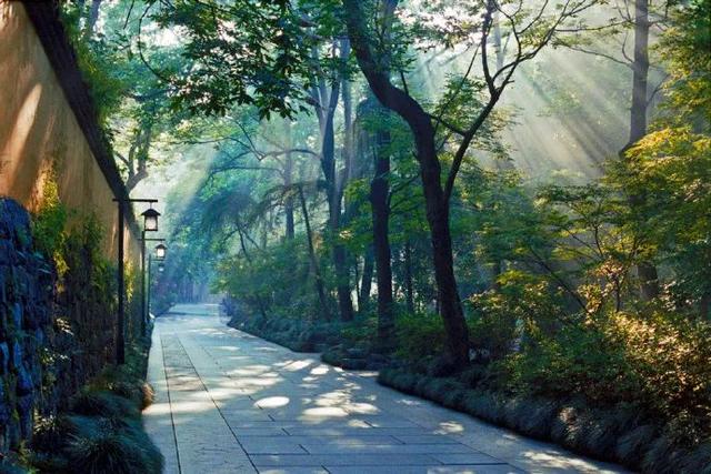 早安好句子171015：人不能因为害怕失去，就不去拥有