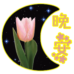 晚安的问候短句，晚安的表情图片