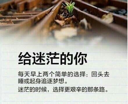 早安正能量图片句子：你若不相信努力和时光，时光第一个辜负你