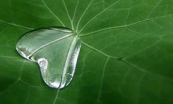 晚安爱情171020：缘相遇难，情懂得更难