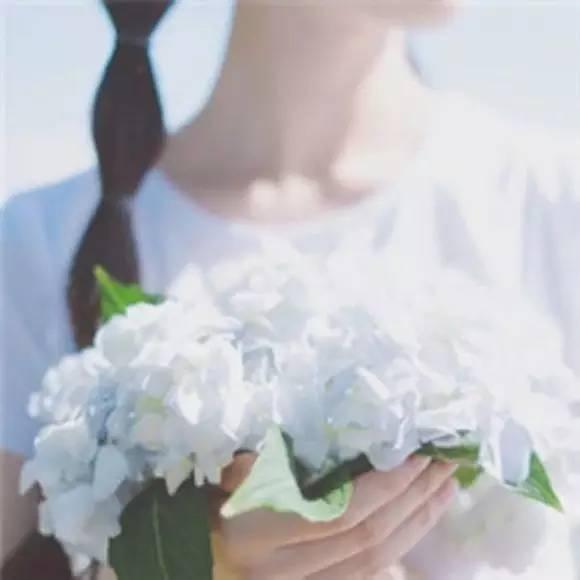 晚安好句子171023：微风吹散了酒香，我还记得你所有的模样