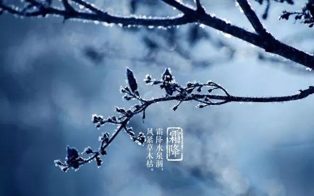 关于霜降的美文美图：霜降守心