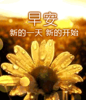 问候早安的问候语，问候早安的表情图
