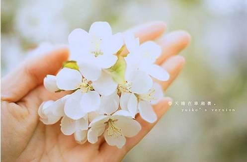 午安心语171026：酸甜苦辣自己尝，喜怒哀乐自己抗