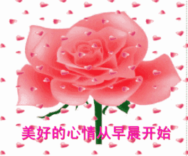 早晨好的问候语句，早晨好的祝福