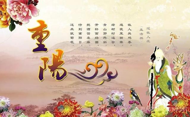 重阳节老人家问候老人的句子