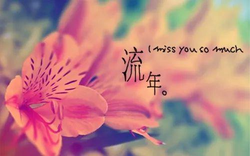 午安句子171101：一个人使劲，维持不了两个人的感情