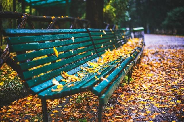 早安11月：十月，再见！十一月，你好！