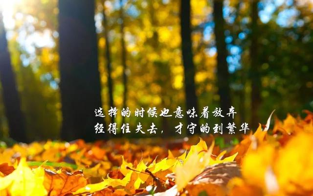 早安心语正能量171205：趁年轻埋头苦干，免来日仰慕求人