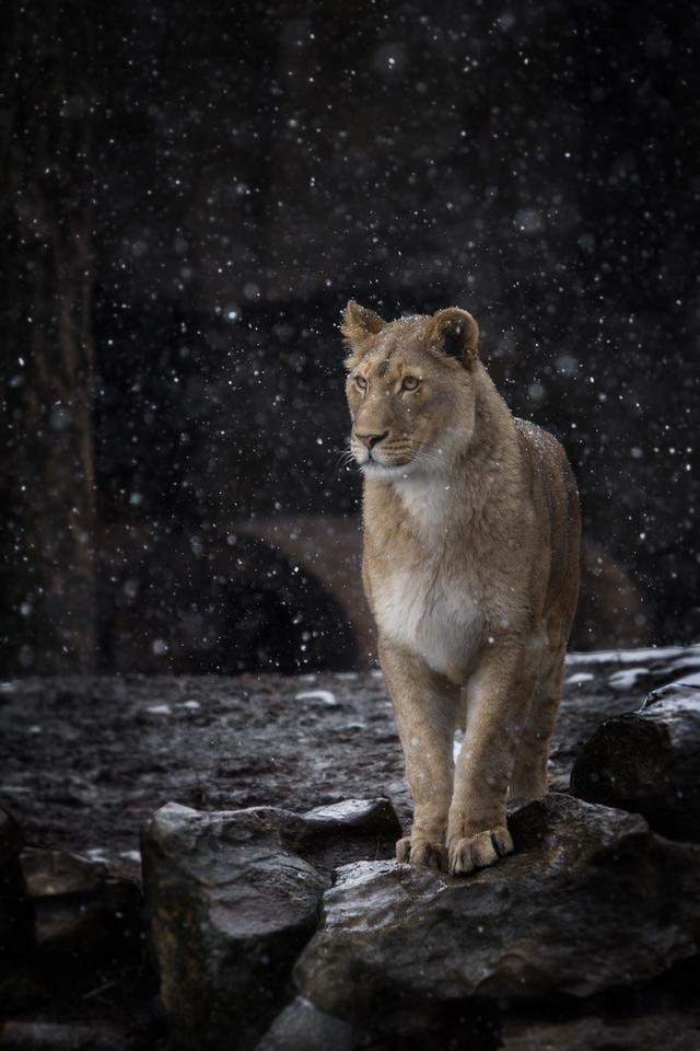 早安美图171107：好事坏事，终归，都成往事