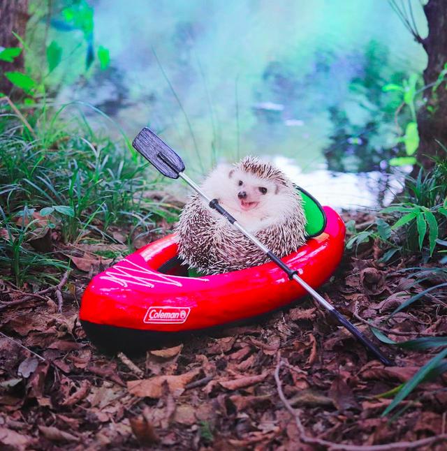 早安美图171103：经历一段努力闭嘴不抱怨的时光，才能熠熠生辉