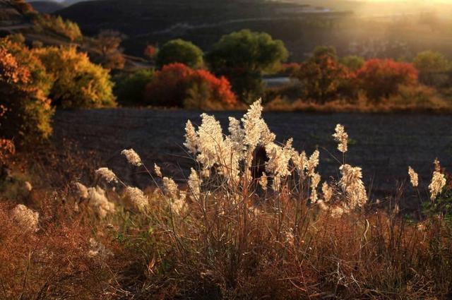 早安11月：十月，再见！十一月，你好！
