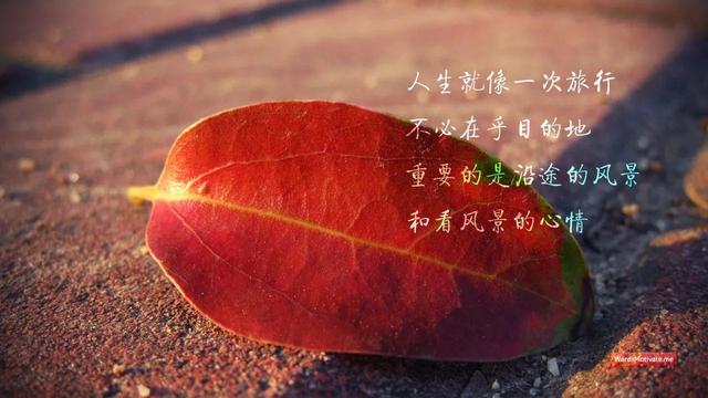 早安心语正能量180311：不为昨天而叹息，只为今天更美好