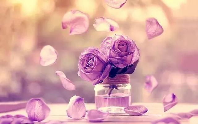 早安文字171106：一生所有的相逢，都是温暖